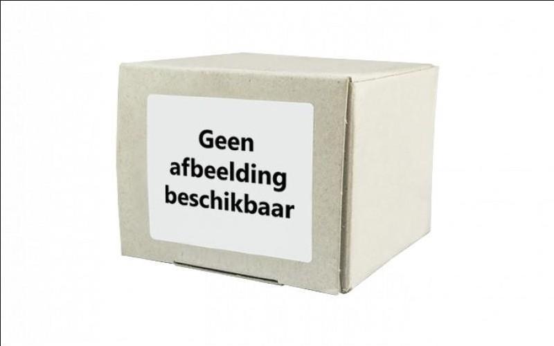 Gevelschroeven blank